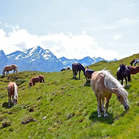 Alpengasthof Praxmar Konukevi