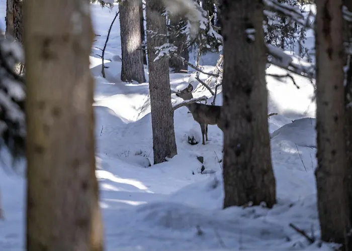 Alpengasthof Praxmar Πανσιόν Sankt Sigmund im Sellrain