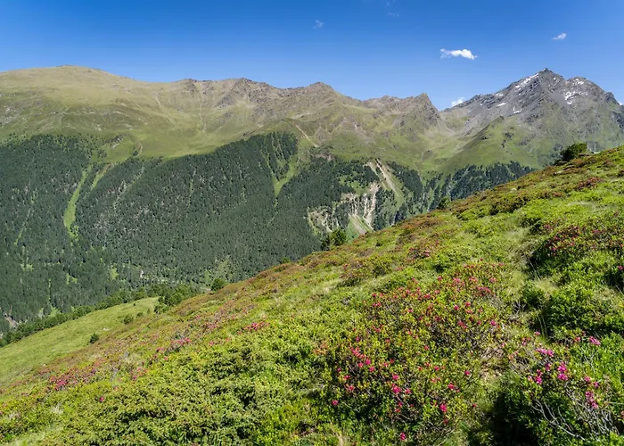 Πανσιόν Alpengasthof Praxmar 3*