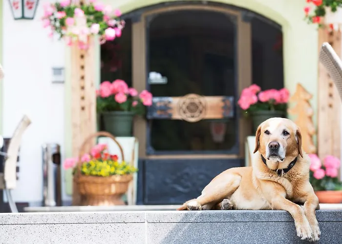 Alpengasthof Praxmar Πανσιόν Sankt Sigmund im Sellrain