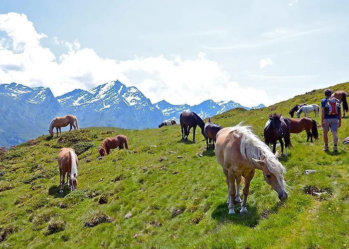 Alpengasthof Praxmar Πανσιόν