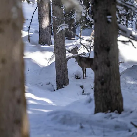 Alpengasthof Praxmar Πανσιόν Sankt Sigmund im Sellrain