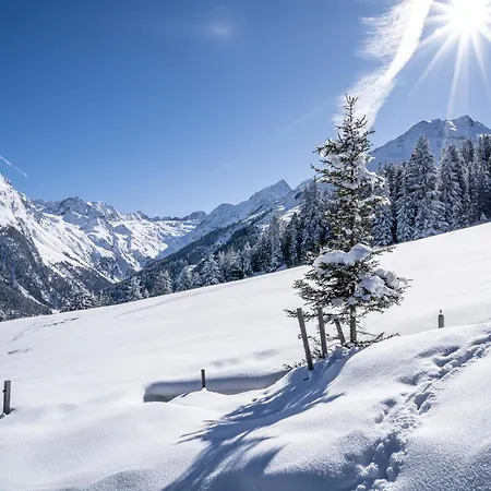 Alpengasthof Praxmar Πανσιόν
