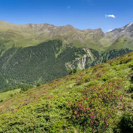 Πανσιόν Alpengasthof Praxmar 3*